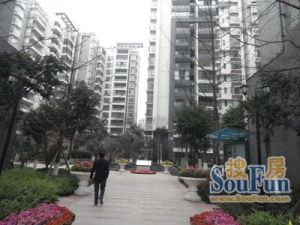 金林俊景 3室1厅 西