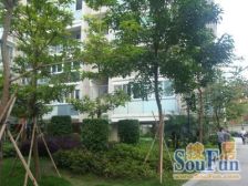 奥体商圈,地铁口,电梯高层小两房,拎包入住