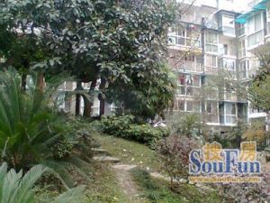 芙蓉花开 3室1厅 东