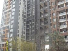 龙头寺 鲁能星城十街区四房200万