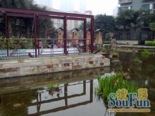 融侨 融侨风临洲B3区四房170万