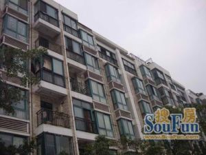 滨河花园(郫都) 3室2厅 东南