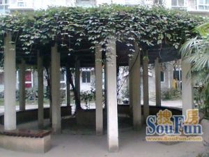 芙蓉花开 3室2厅 南