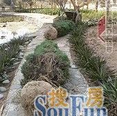 西关十字地铁口 张掖路步行街旁 看房子方便