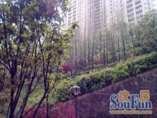 谢家湾 万象城旁 精装小户型 出入方便