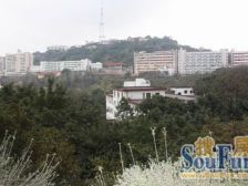 鹅岭 鹰冠小区四房68万