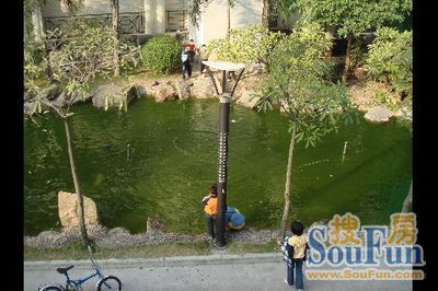 颐景苑实景图