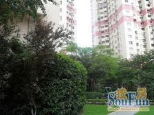 打浦桥日月光精装修未入住大平层+高区无遮挡+全明满五