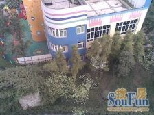 科园一街 1室1厅 北