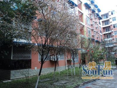 月都家园实景图