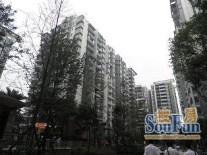 金林俊景 3室2厅 西