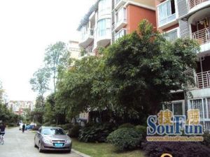 国一剑桥丽景 3室1厅 东南