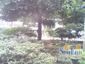 东安南路17号2室1厅东南