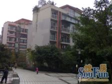 两路老城 龙升街三房39.8万