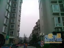 红树林3室1厅南