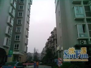 红树林3室1厅南