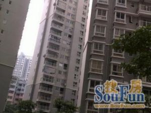 台江光明港公园边光明港苑精装98平方才175万