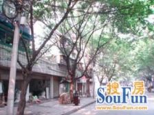 花卉园 花卉园西三路二房32万