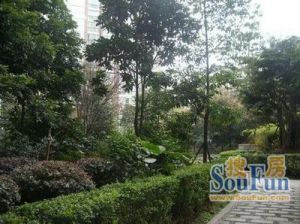 金荷名邸 3室1厅 南