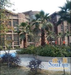 柏林河畔3室2厅南