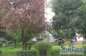 玉林东路4号院实景图