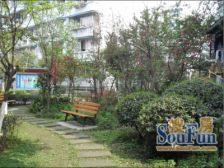 新光社区文景苑 2室1厅 南 北