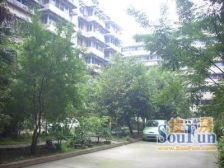 园中园西苑3室2厅东南南