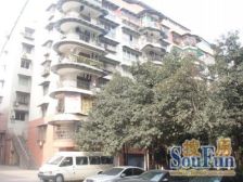 一碗水 金鑫小区三房70万