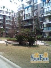 佳禾永福 3室1厅 东