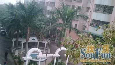 怡和新村实景图