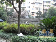 春江青龙湾 3室2厅 东南