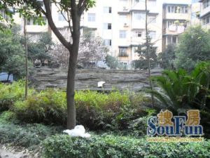 春江青龙湾3室2厅东南