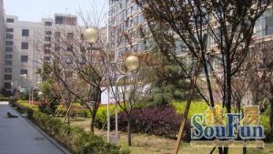光大科技园3室2厅南