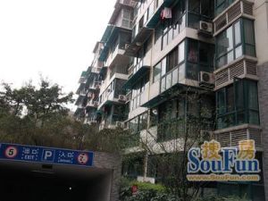 萧邦1室1厅东南