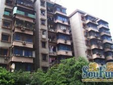 五朵金花 红梅花儿开 朵朵放光彩 六年影响一生