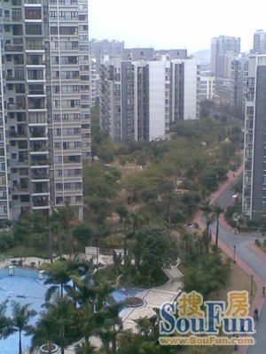 保利西子湾实景图
