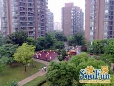 双澧溪 近18号繁荣路800米 电梯高层 精装修 视野无遮挡