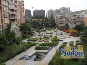 龙府花园 2室1厅 东南