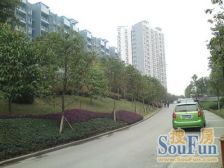 回兴 小小岛四房200万