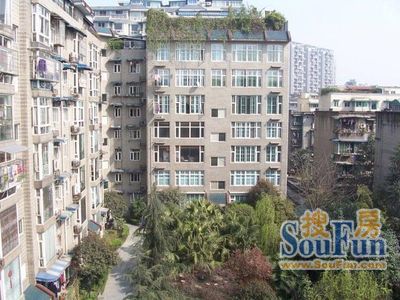 竹韵菁华实景图