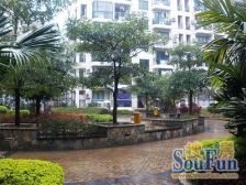 七街十二府1室1厅北