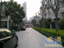 老静安蝴蝶湾别墅!附赠花园!小区低密度!