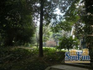 龙府花园 2室1厅 南 北