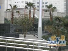 袁家岗 品质一房 交通便捷 医疗及配套齐全 视野开阔