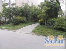 春江青龙湾 2室1厅 西南