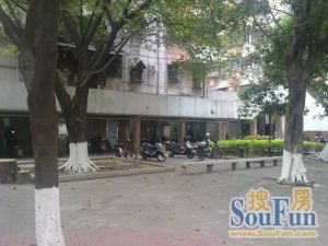 同济市场大方数三房南北对流格局方正实用