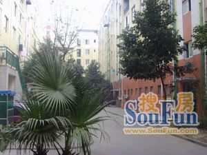 福泽美庐3室2厅东南