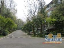 今日田园5室3厅南