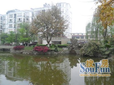 荷塘月色实景图