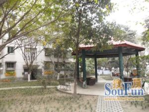 杨柳小区西区2室2厅南